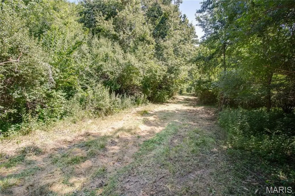 Picture 22