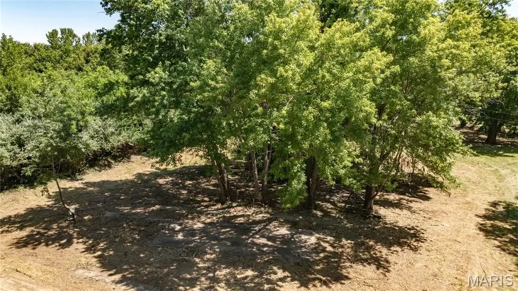Picture 3