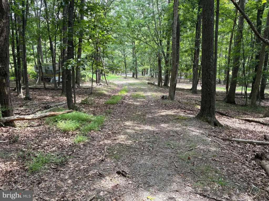 Picture 31