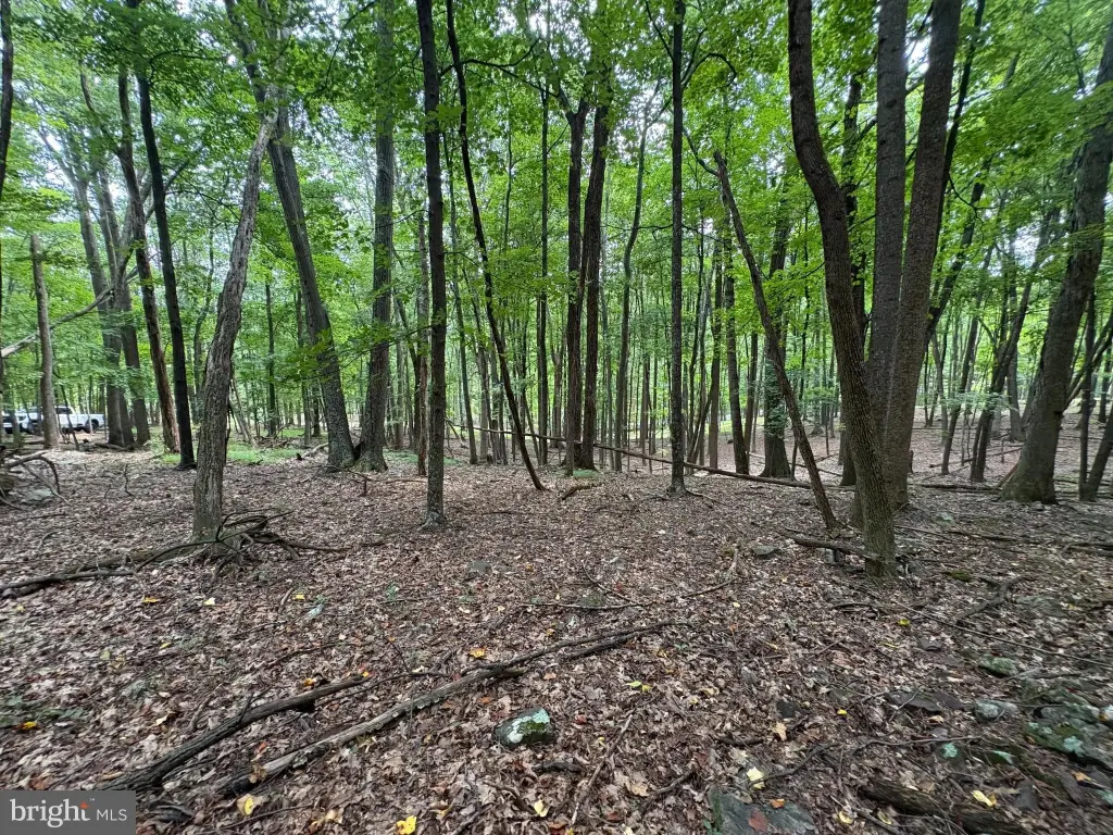Picture 16