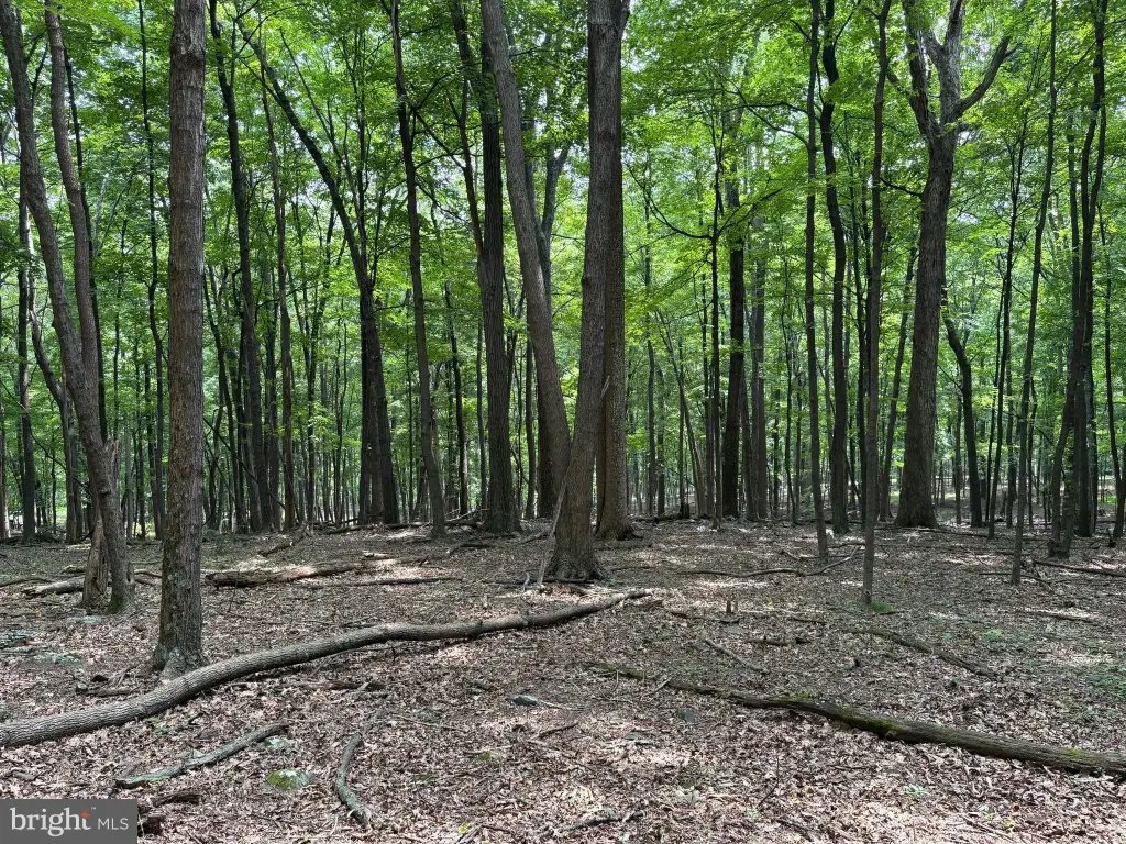 Picture 23