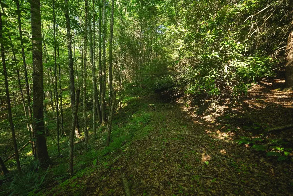 Picture 21