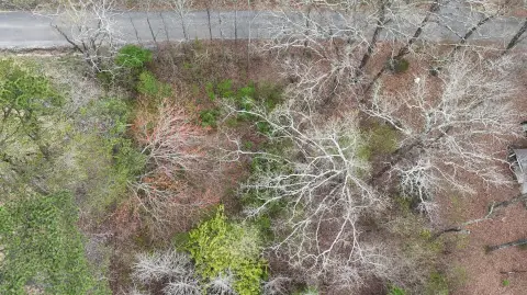 Residential Lot in Cleveland, TN