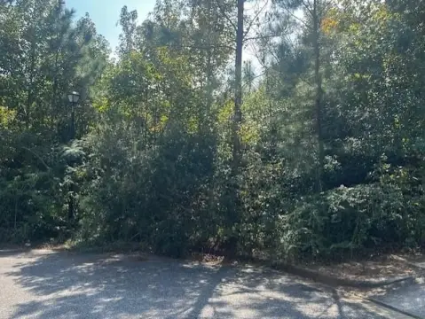 Residential Lot in Summit Hills