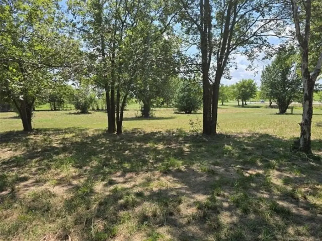 Picture 3