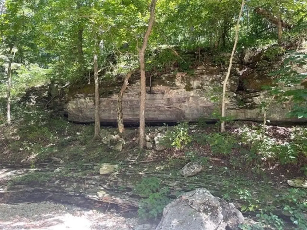 Picture 15