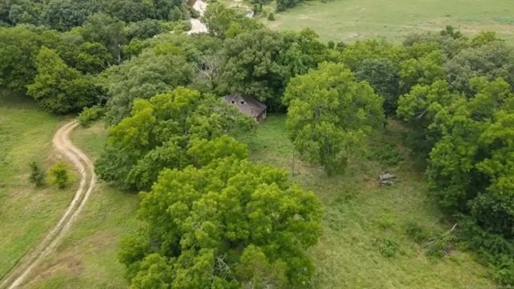 Picture 35
