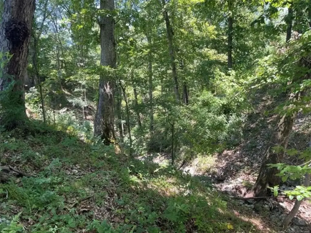Picture 12