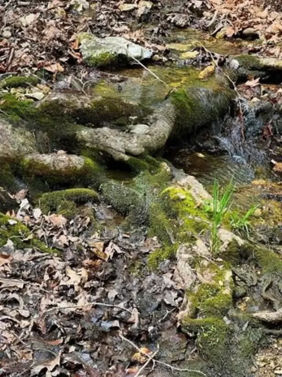 Picture 11