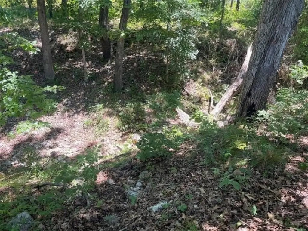 Picture 13