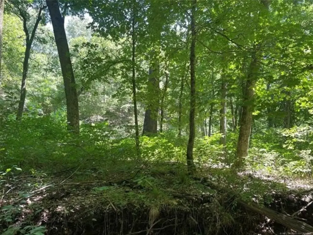 Picture 17