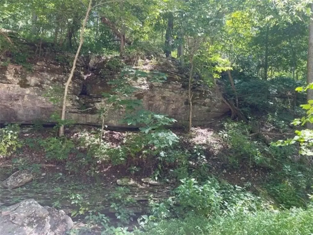 Picture 14
