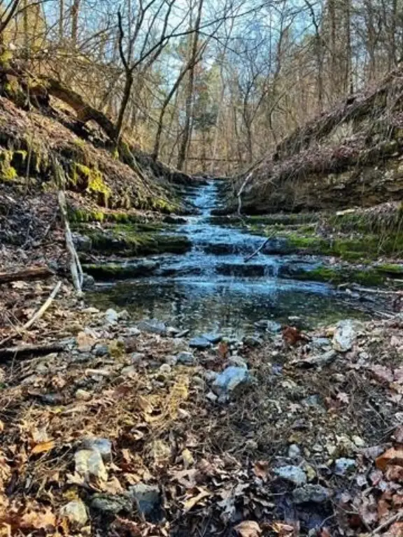 Picture 5