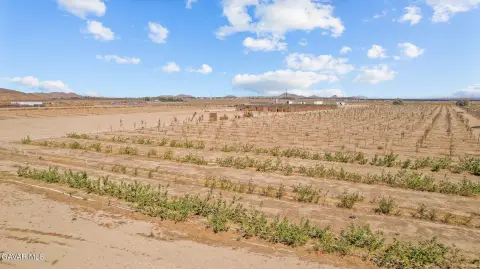 Productive Agricultural Land in Mojave