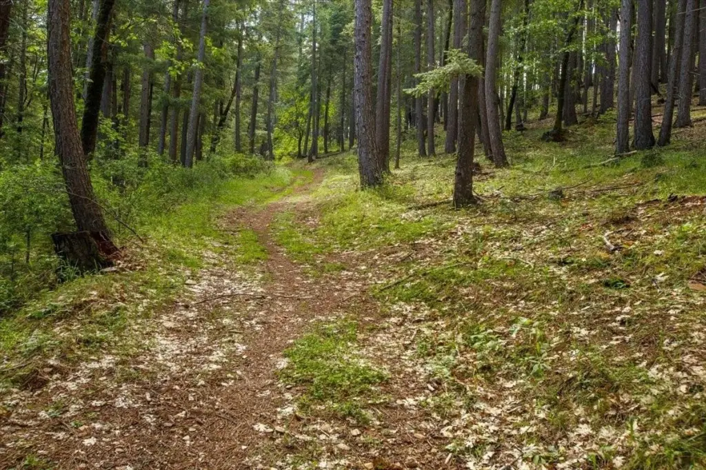 Picture 6