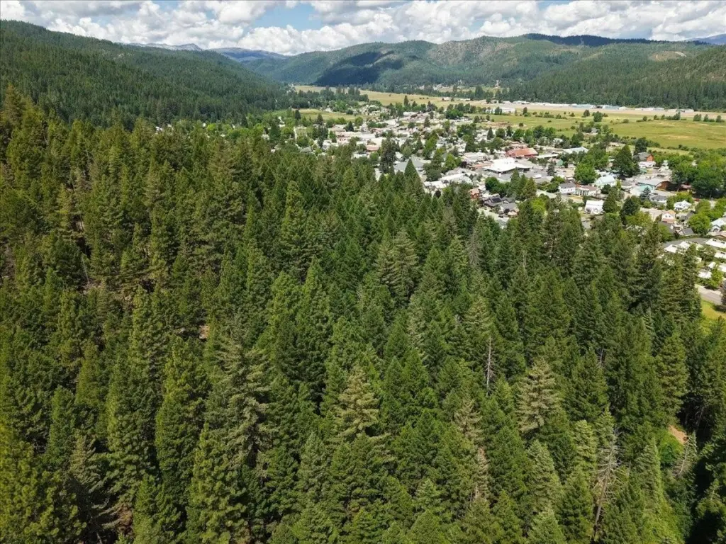 Picture 25