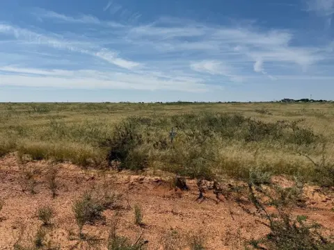 Land For Sale, Andrews, TX