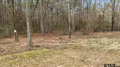 Secluded East Texas Hunting Land