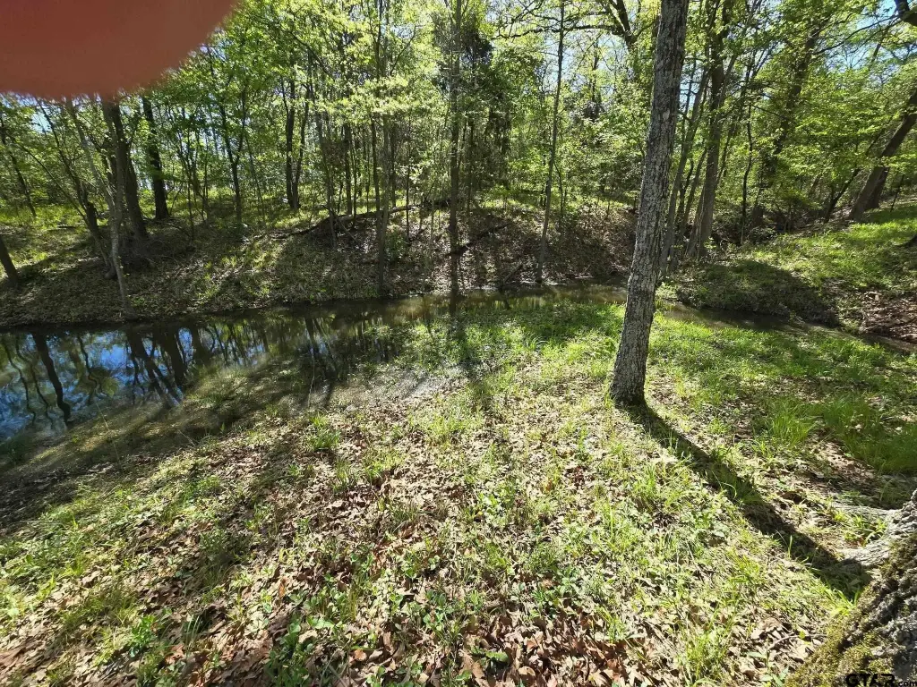 Picture 13