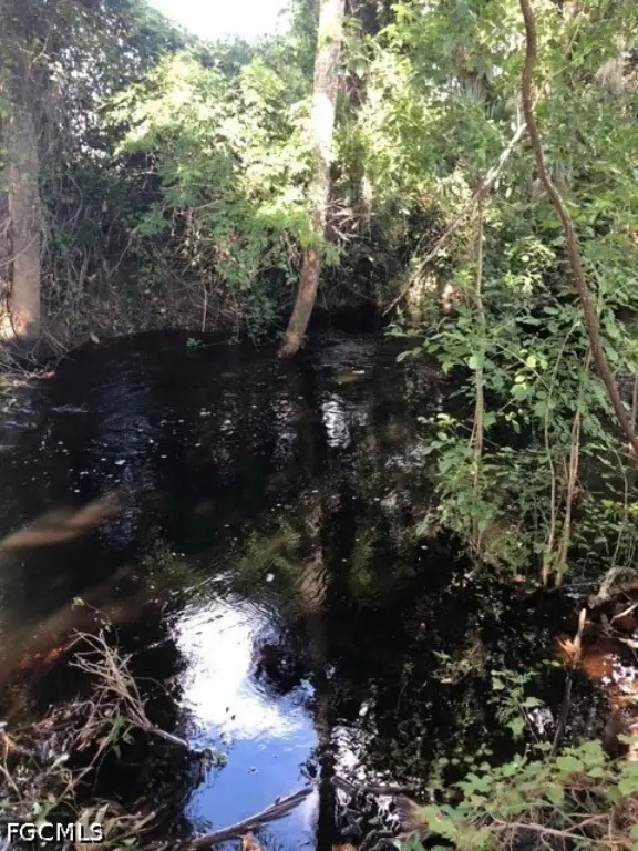 Picture 10