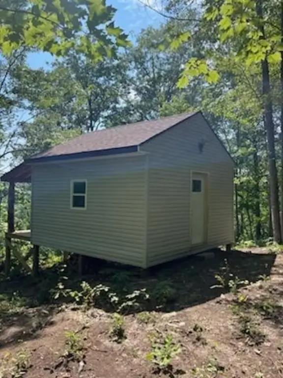 Picture 8