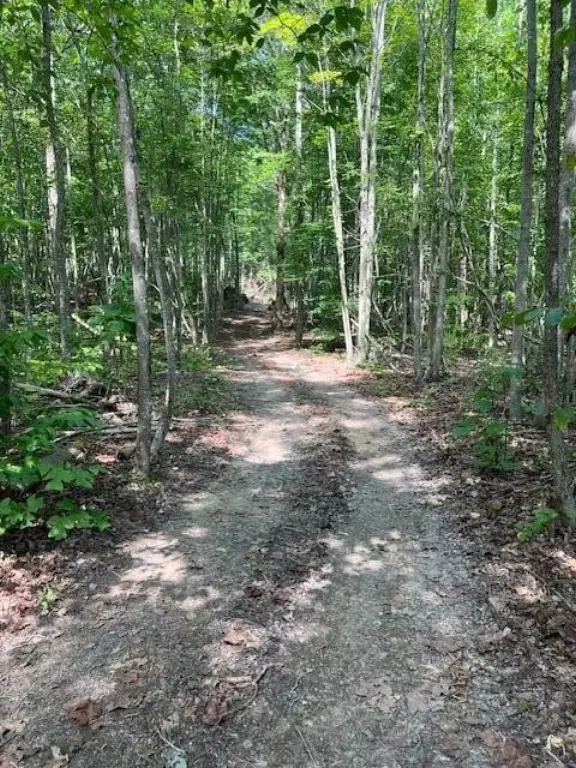 Picture 20