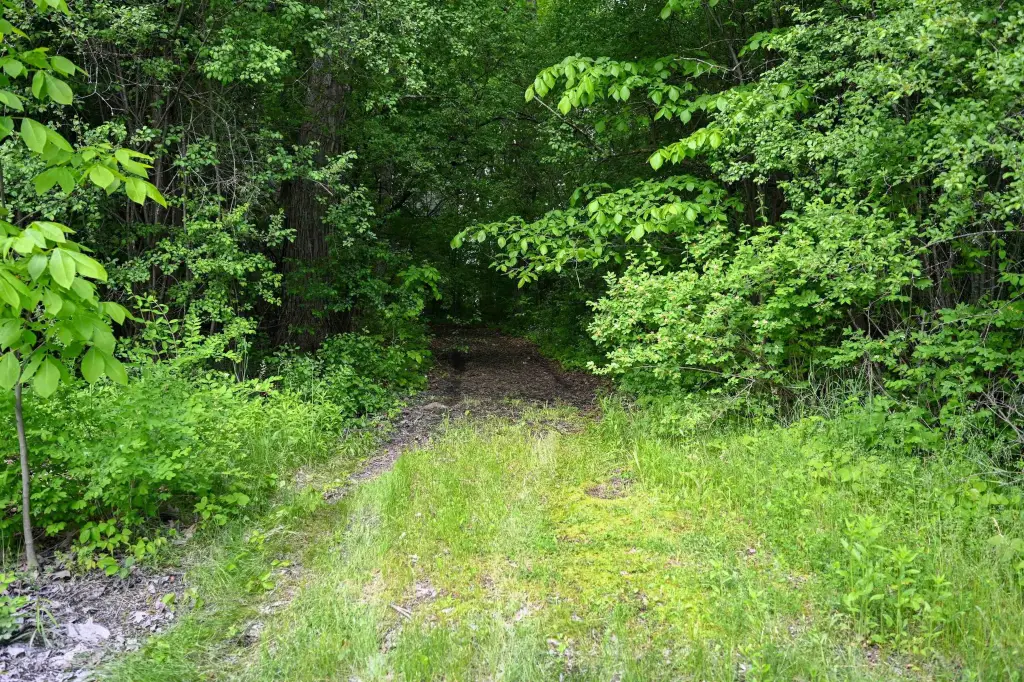Picture 25