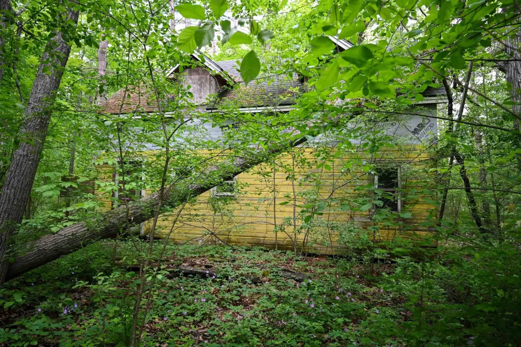 Picture 17