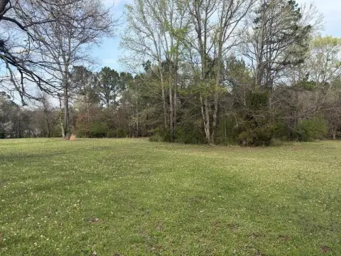 Unrestricted Land in Hallsville ISD