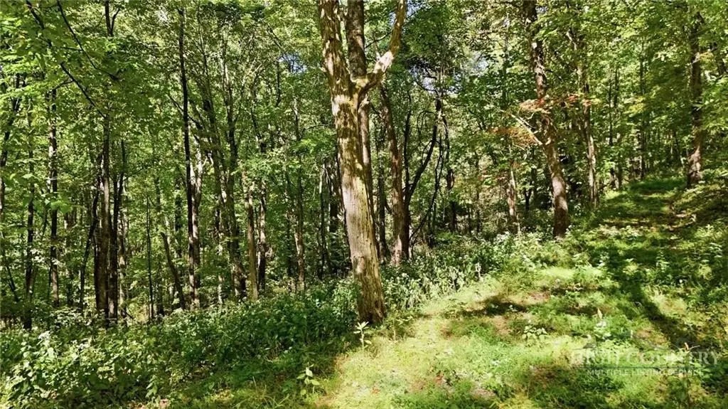Picture 41