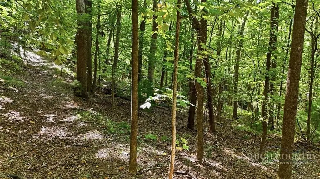 Picture 43
