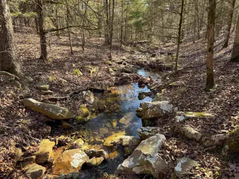 Quitman Acreage with Creek
