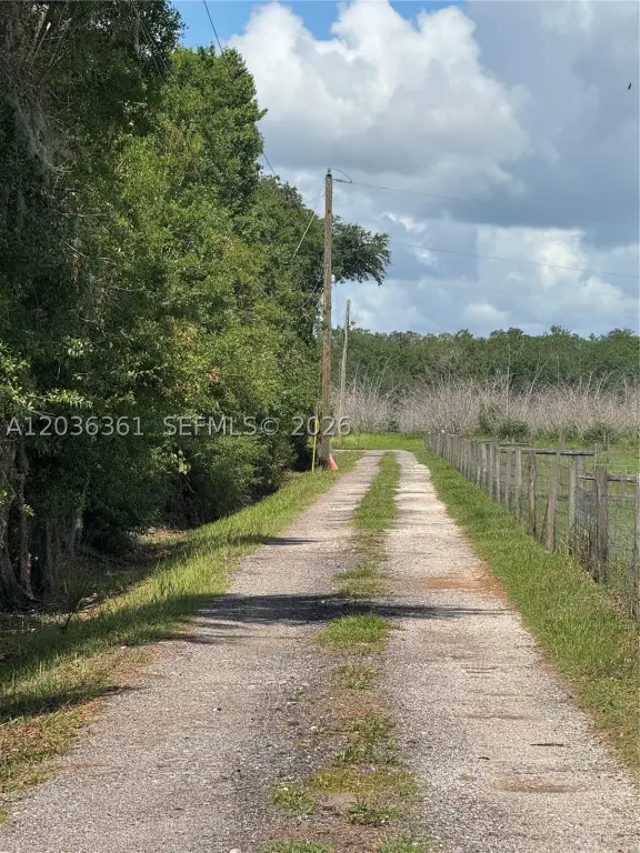 Picture 32