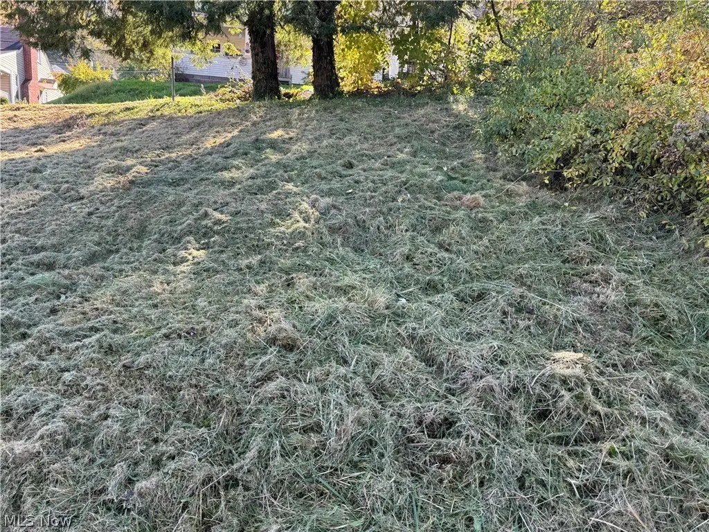 Picture 6