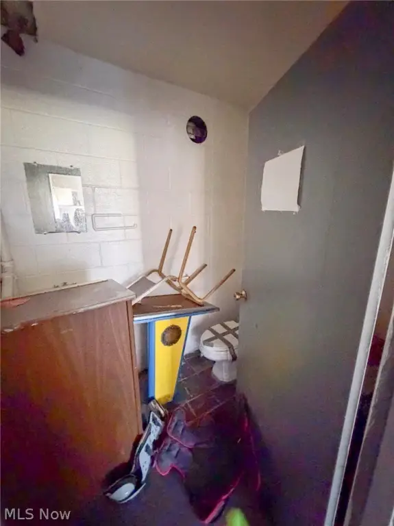 Picture 16