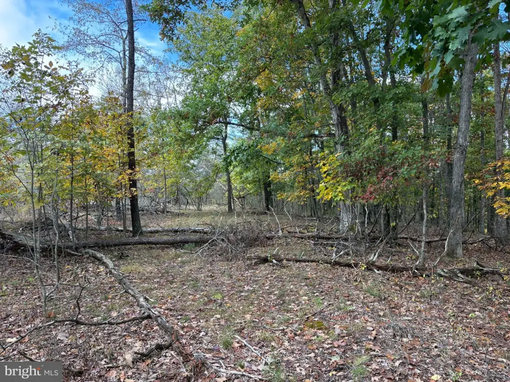 Picture 36