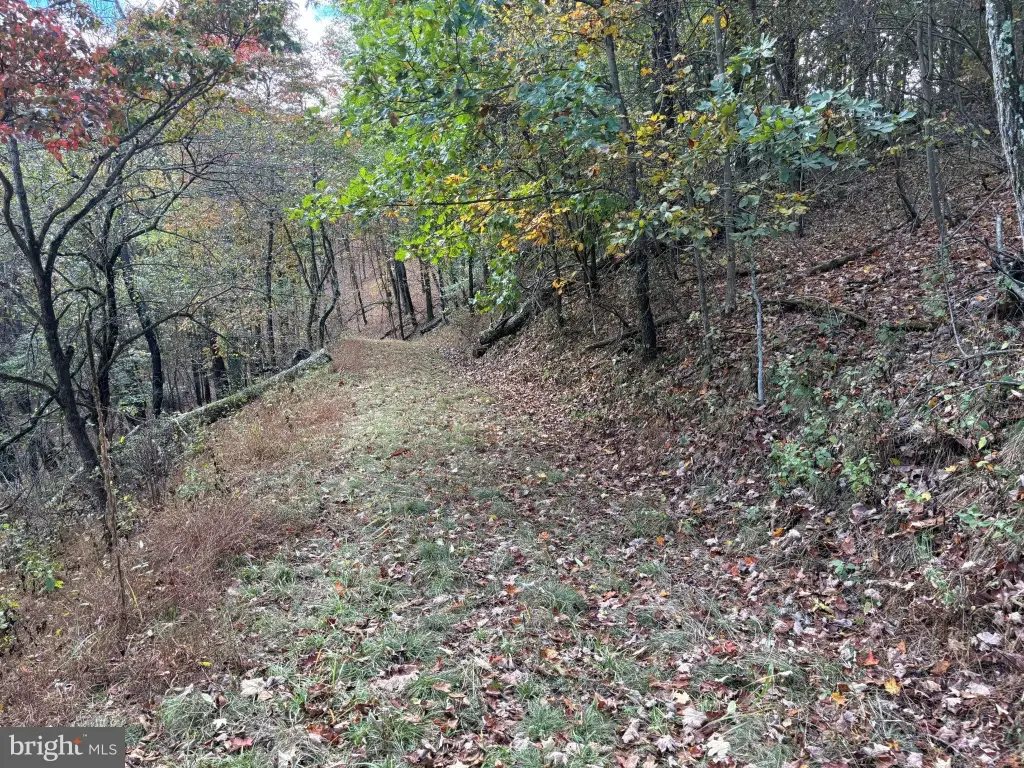 Picture 5