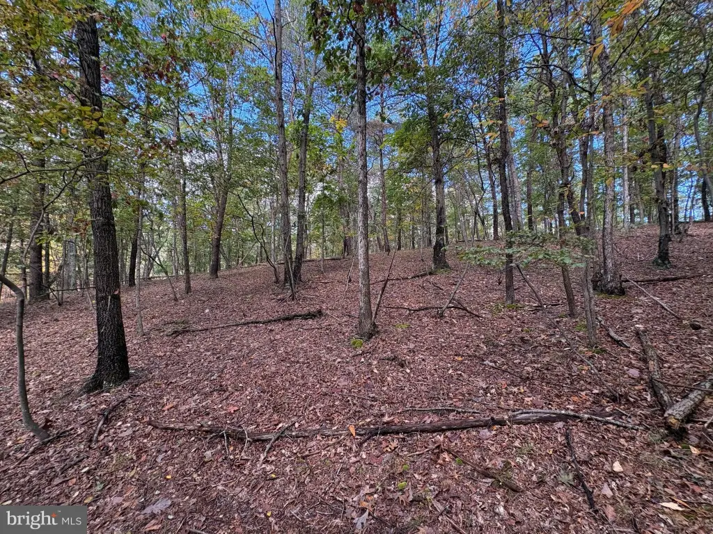 Picture 10