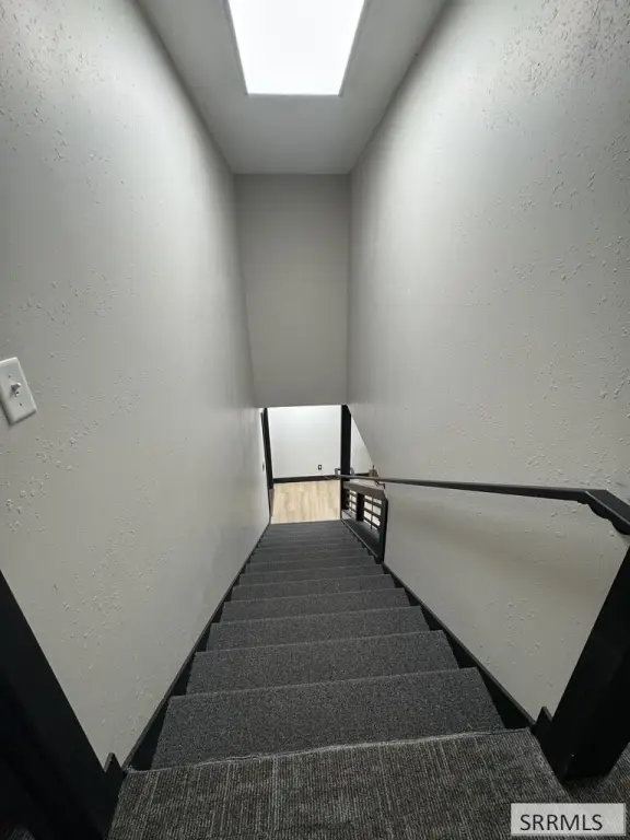 Picture 7