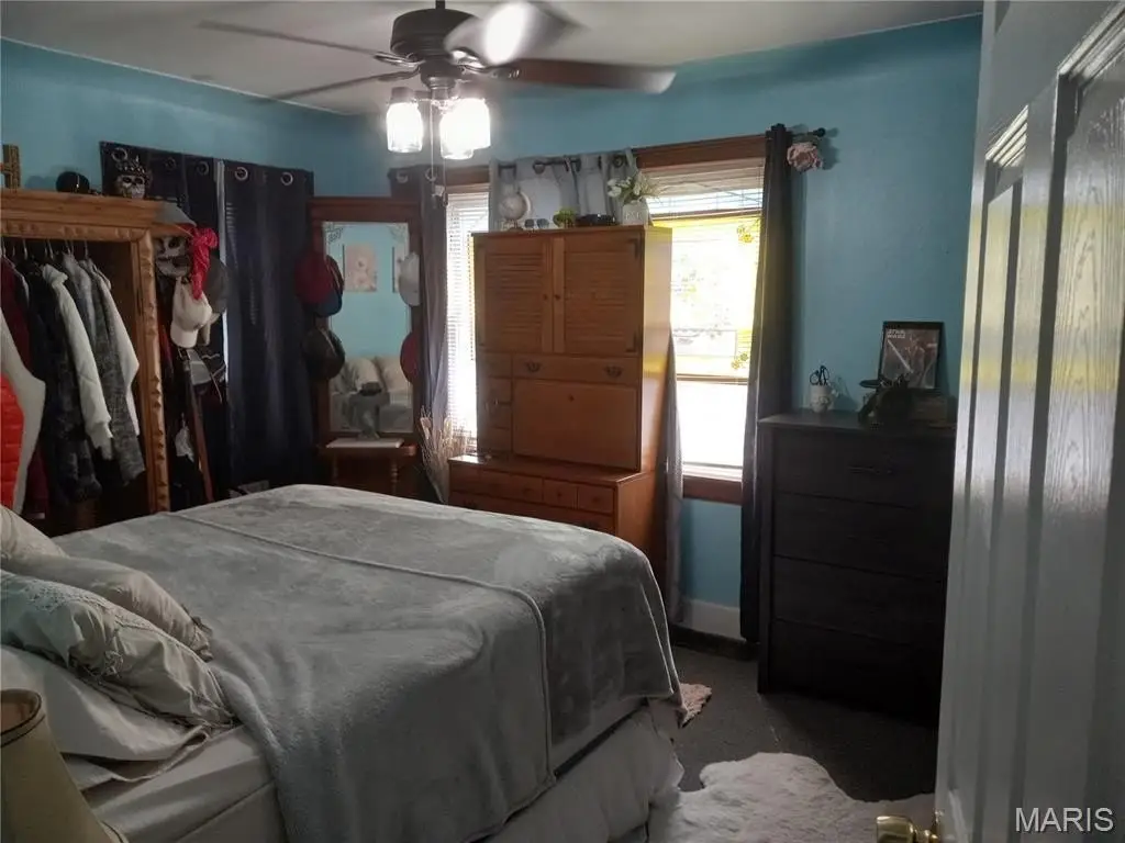 Picture 5