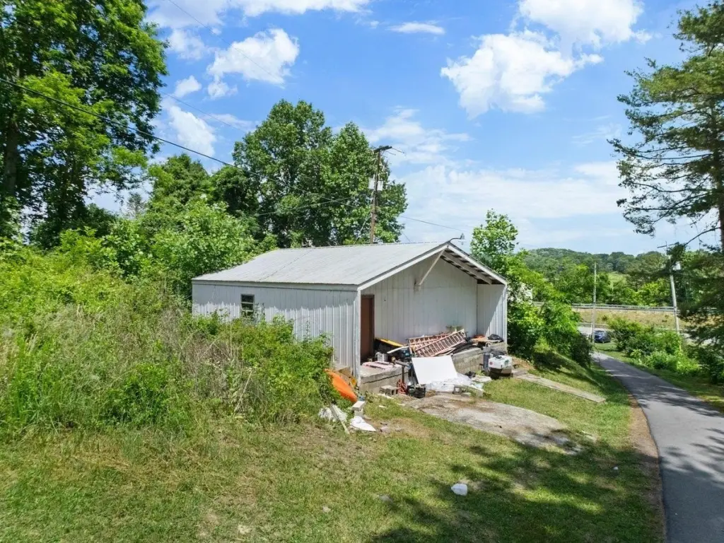 Picture 11