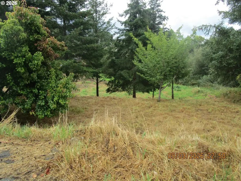 Picture 2