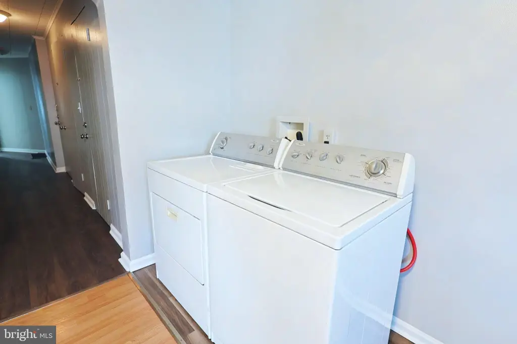 Picture 41