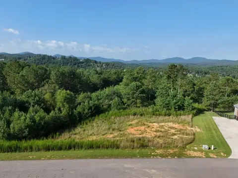 Blairsville Vacant Lot with Amenities