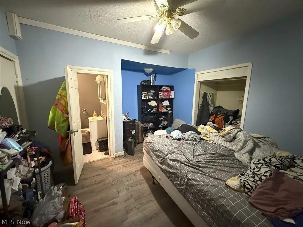 Picture 11