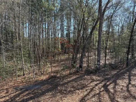 2.7 Acres Wooded Residential Lot