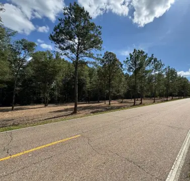 One Acre Vacant Land Lot