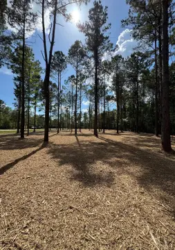 One Acre Vacant Land