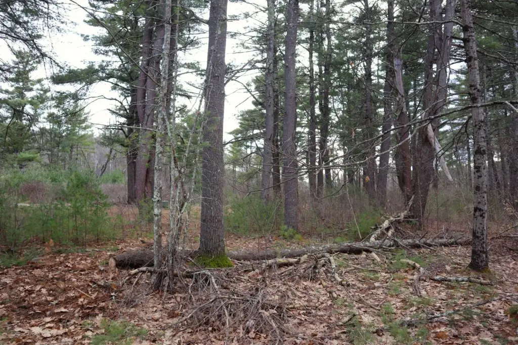 Picture 23