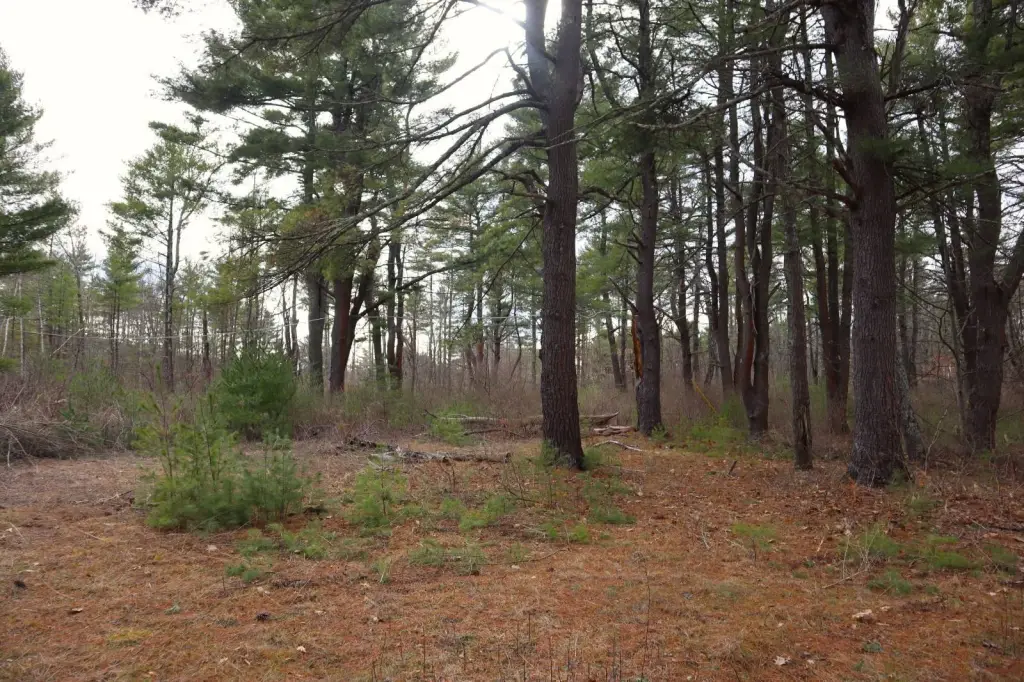 Picture 14